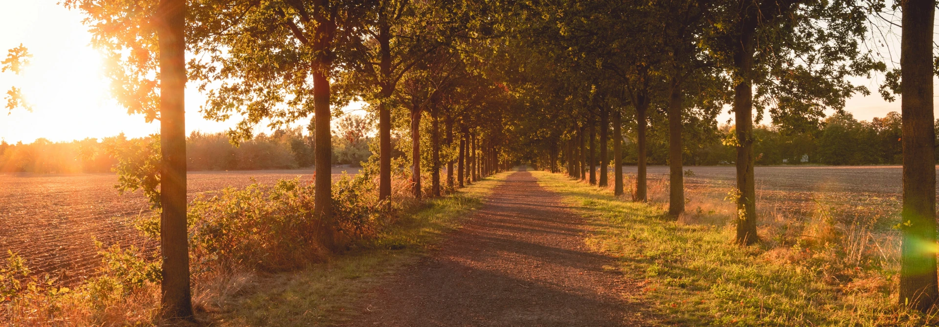 Ostsee-Radweg