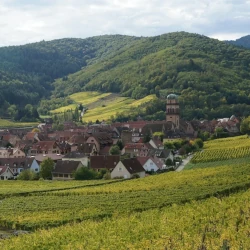 Das Elsass (Symbolbild für Jobs beim Sternradeln)